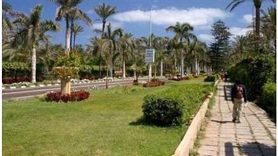 طقس الربيع ٢٠٢١.. تحذيرات من الرياح المثيرة للأتربة.. شديد الحرارة بجنوب البلاد.. والأرصاد: طقس التقلبات الجوية الحادة