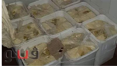 ضبط 11 طن مواد غذائية فاسدة قبل طرحها بالغربية | صور