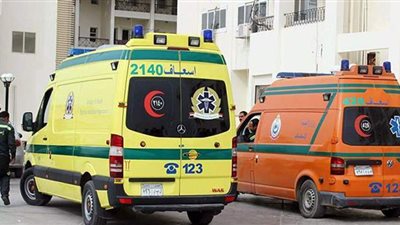 مصرع موظف دهسا بسيارة في المنيا