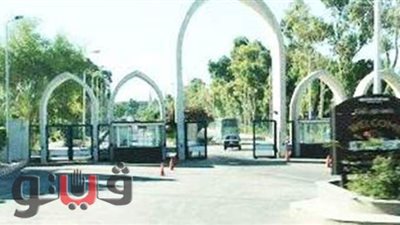 جامعة جنوب الوادي تحصد مراكز متميزة بمهرجان مراكز الفنون