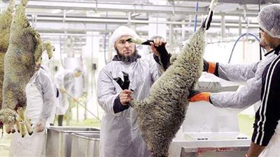 الذبح الحلال.. أزمة تثير غضب المسلمين في فرنسا قبيل رمضان