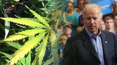 حشيش في البيت الأبيض.. الماريجوانا مقابل استقرار ولاية جو بايدن