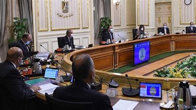 الوزراء: ٦ ملايين سيدة تحصل علي معاش تأمينات بنسبة 29.6%