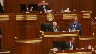 الحبس 6 أشهر وغرامة مليون جنيه.. أبرز تعديلات قانون القطن بعد موافقة الشيوخ عليه