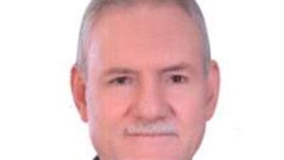 برلماني: تشجيع الصناعة المحلية أمر حتمي