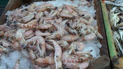 حجز مالك مخزن لحيازته طن جمبري فاسد بالقاهرة