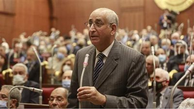 نائب بالشيوخ يطالب بتغيير الصورة الذهنية السلبية عن التعليم الفني: 