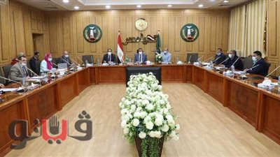 محافظ المنوفية: تجميل وتطوير المنطقة الحرة بشبين الكوم