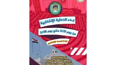 بدء الدعاية الانتخابية لجولة الإعادة ببرلمان الشباب في 5 محافظات