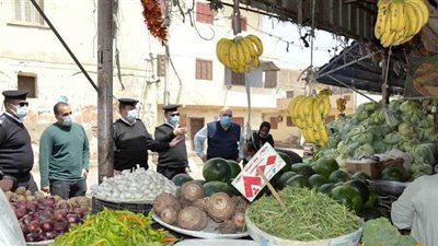 تحرير 161 محضرا متنوعا في الأقصر