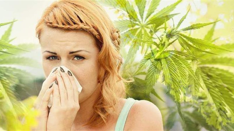 أعراض حساسية الربيع
