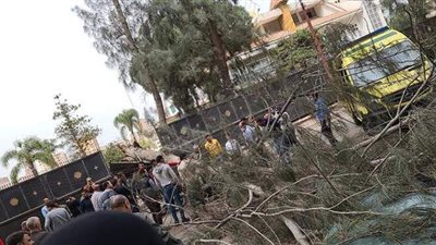 مصرع شخص سقطت عليه شجرة داخل استراحة محافظ الدقهلية