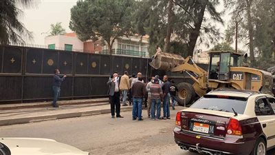 لحظة رفع آثار سقوط شجرة أودت بحياة مواطن بالدقهلية | فيديو وصور