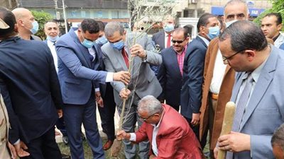 سعفان ومحافظ الدقهلية يزرعان 1050 شجرة زيتون ضمن مبادرة 