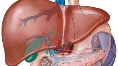 لمرضى الكبد.. حالات يجوز فيها الصيام وقائمة الأطعمة والمشروبات الممنوعة