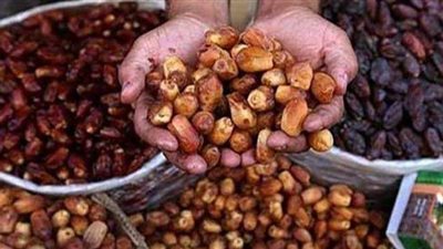 حديقة الأورمان تستضيف أول مهرجان للتمور بالقاهرة..1 أبريل