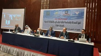 علاء شلبي: ندرك تحديات الجنائية الدولية للنهوض بمسئولياتها