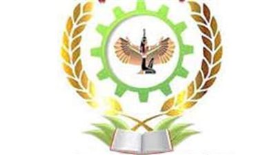 تأديب مدير الكلية التكنولوجية بجنوب الوادي ومدرسة بـ