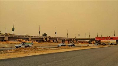 طبيب يوضح كيفية تجنب أمراض الحساسية والجيوب الأنفية | فيديو