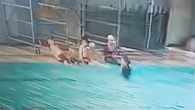 كاميرا مراقبة ترصد لحظة وفاة طفل صعقا بالكهرباء في حمام سباحة | فيديو