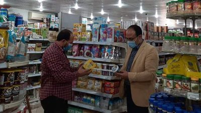 ضبط 11 قضية في حملة تموينية بالدقهلية | صور