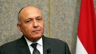 وزير الخارجية: قد نلجأ إلى مجلس الأمن مرة أخرى بشأن قضية سد النهضة