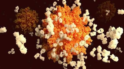 فاجعة جديدة.. البرازيل تواصل تسجيل الأرقام الكارثية في عدد إصابات ووفيات كورونا اليومية