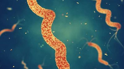 علاج الميكروب الحلزوني