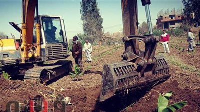 إزالة 223 حالة تعد على النيل بالدقهلية