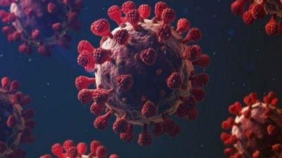 مبادرة لتطهير وتعقيم المساجد قبل رمضان بالقليوبية