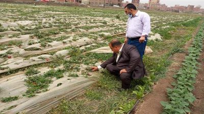 جامعة بنها تنظم قافلة لرصد الملوثات البيئية بقرية الدير