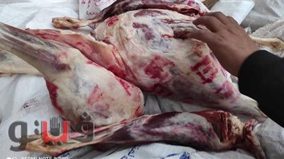 ضبط 320 كيلو لحوما غير صالحة للاستخدام الآدمي بالمنوفية
