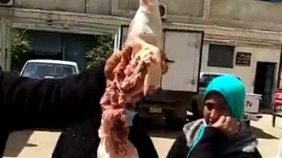 ضبط محل دواجن يحقنها بالمياه لزيادة وزنها بالمنوفية | صور