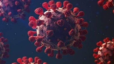 المنتجات الملوثة ضمنها.. 4 فرضيات لأصل فيروس كورونا وكيفية انتشاره