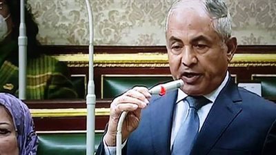 برلماني: مصر تسلك كافة سبل التفاوض لحل أزمة سد النهضة