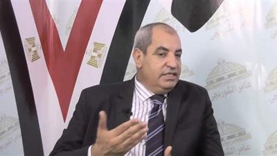 برلماني: المرحلة المقبلة تحتاج إلى مجالس محلية منتخبة