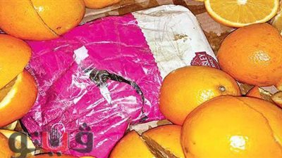 البرتقال كلمة السر.. حيلة شاب لإدخال الهيروين إلى حجز قسم المعصرة