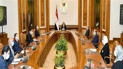 السيسي يكلف بتحقيق التوازن بين مخطط التحديث وتشغيل القطارات لتعزيز سلامة الركاب