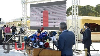 أسامة ربيع: تضافر جهود الدولة لإدارة أزمة جنوح سفينة بقناة السويس