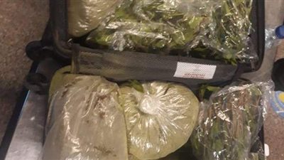 إحباط تهريب 12 كيلو من نبات القات المخدر بمطار القاهرة