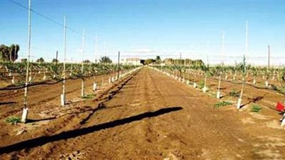 الريف المصرى تعلن عن تسريع إجراءات ترخيص الآبار بمشروع الـ1.5 مليون فدان