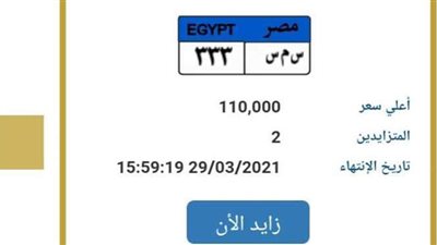 أسماء الحيوانات والطيور تدخل المنافسة في اللوحات المعدنية المميزة.. فأر بـ125 ألف جنيه وصقر بـ95.. وهذه خطوات دخول المزاد | صور