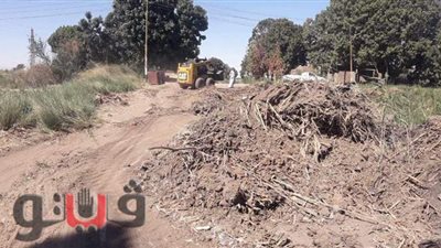 حملات نظافة وتجميل بمراكز وقرى الأقصر