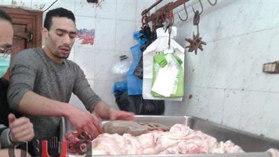 ضبط لحوم فاسدة في حملة تموينية بطنطا | صور