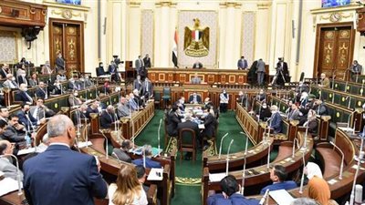 البرلمان يقر 500 ألف جنيه قيمة ترخيص إجراء أي عمل خاص بأملاك الموارد المائية