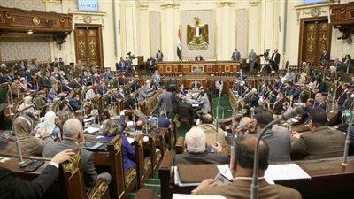 ضوابط زراعة الأرز وفقا للقانون.. تعرف عليها