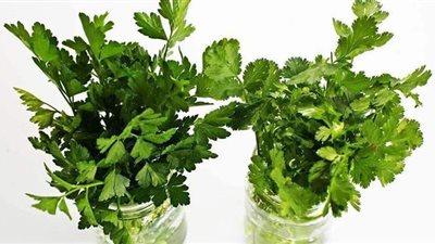 اكتشف فوائد إضافة الكرفس والبقدونس على طبق السلطة