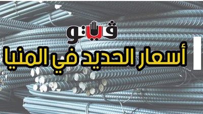 أسعار الحديد اليوم 29 / 3 / 2021 في المنيا