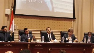 وزير الرياضة يستعرض أمام النواب استعدادات الاتحادات لأولمبياد طوكيو 2021