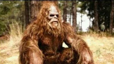 بيج فوت.. عظمة عملاقة تمثل دليلا على وجود الكائن الأسطوري